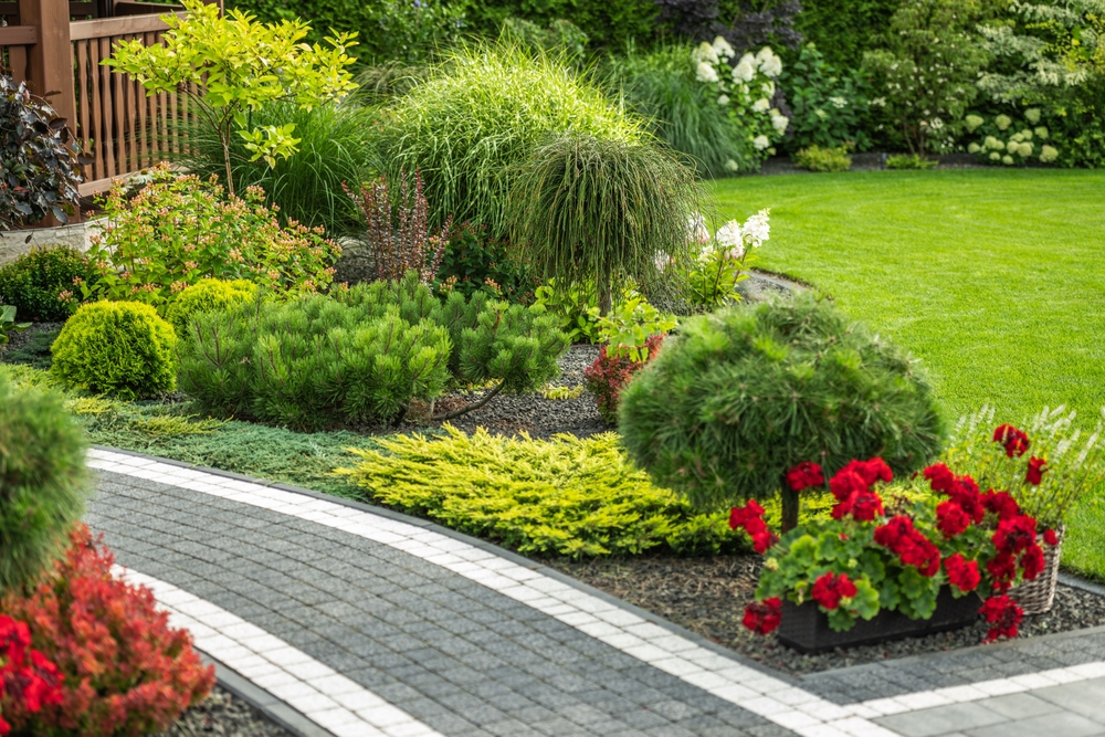 A,Vibrant,Garden,Features,Neatly,Arranged,Flower,Beds,,Diverse,Greenery,