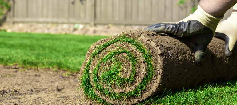 lawn installation